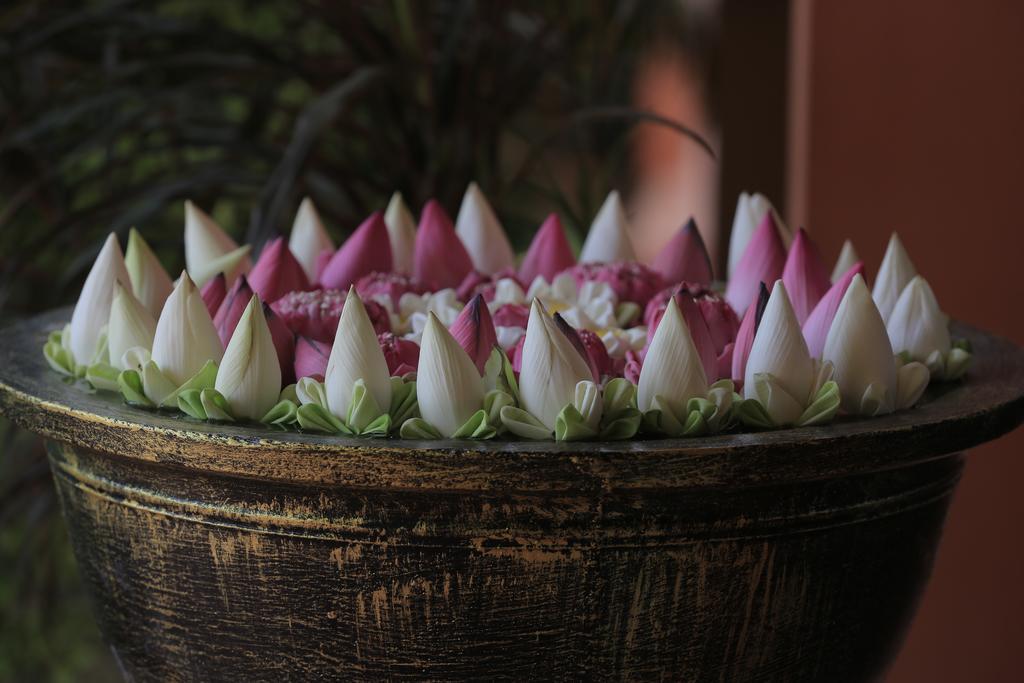Kouprey Hotel Siem Reap Eksteriør billede